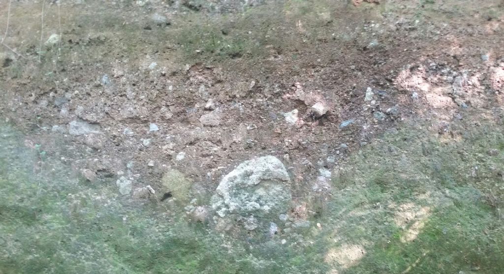 Identificazione affioramento.